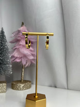 Load image into Gallery viewer, Earrings