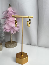 Load image into Gallery viewer, Earrings